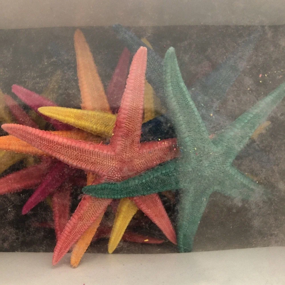 100‎ Colorful Natural Starfish Mini Crafts Wedding Decorations Micro Landscape